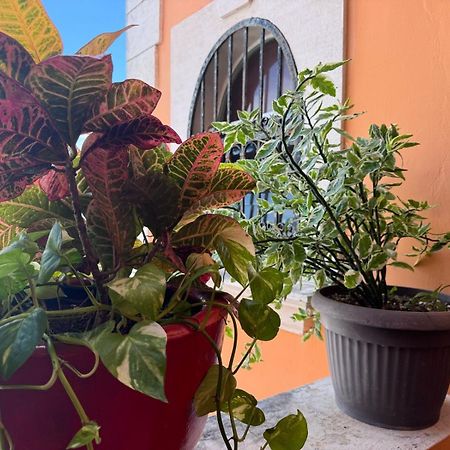 Hotel Casa Mallorca كانكون المظهر الخارجي الصورة