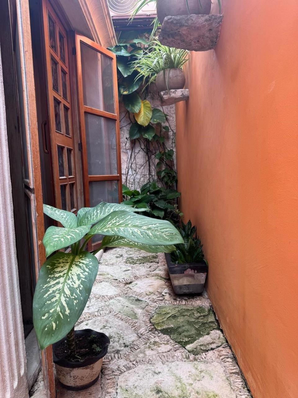Hotel Casa Mallorca كانكون المظهر الخارجي الصورة