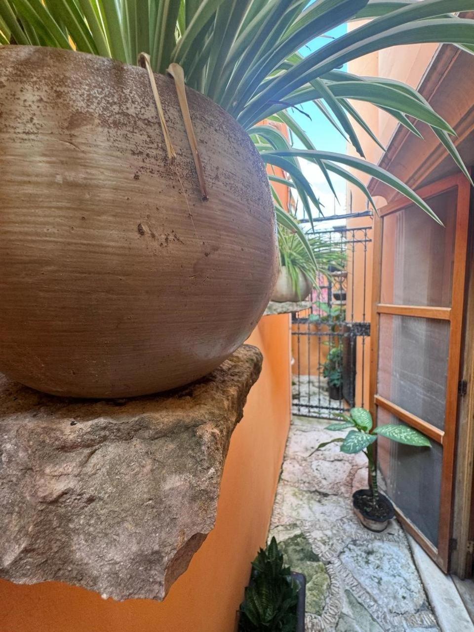 Hotel Casa Mallorca كانكون المظهر الخارجي الصورة