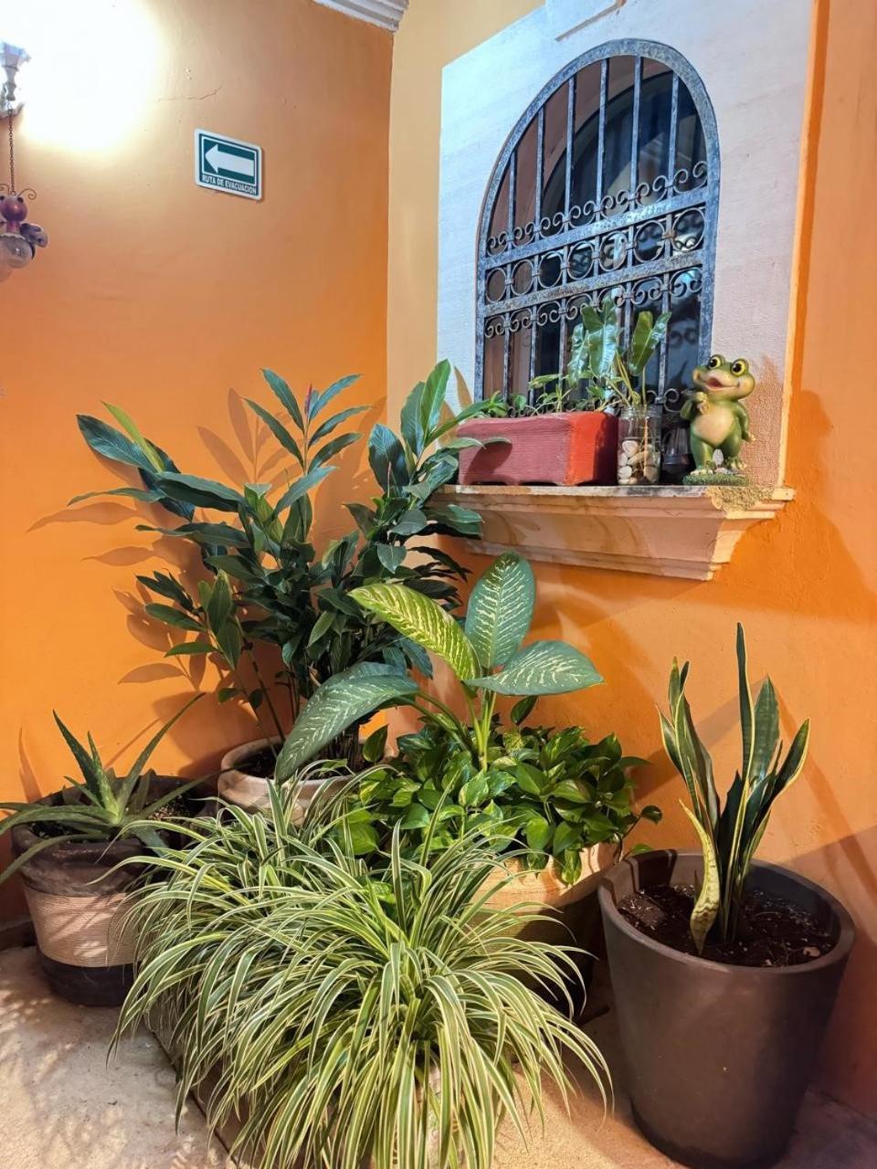 Hotel Casa Mallorca كانكون المظهر الخارجي الصورة