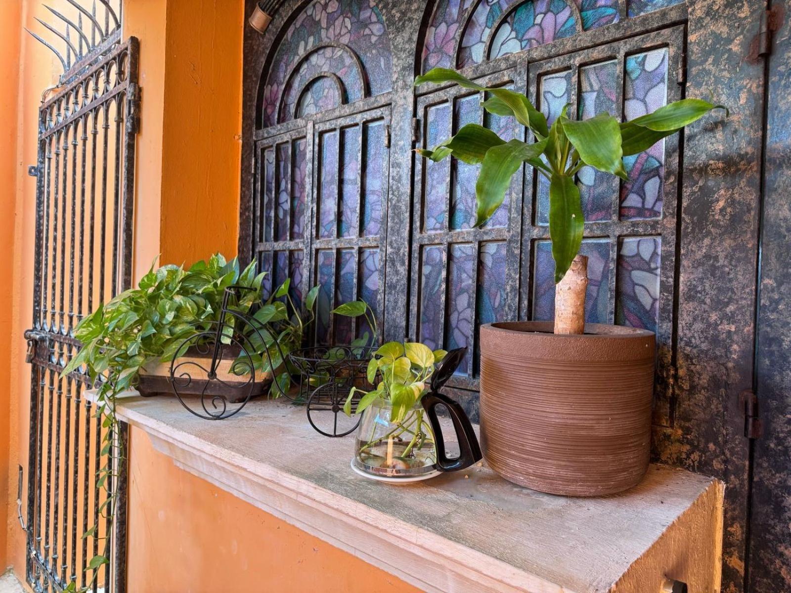 Hotel Casa Mallorca كانكون المظهر الخارجي الصورة