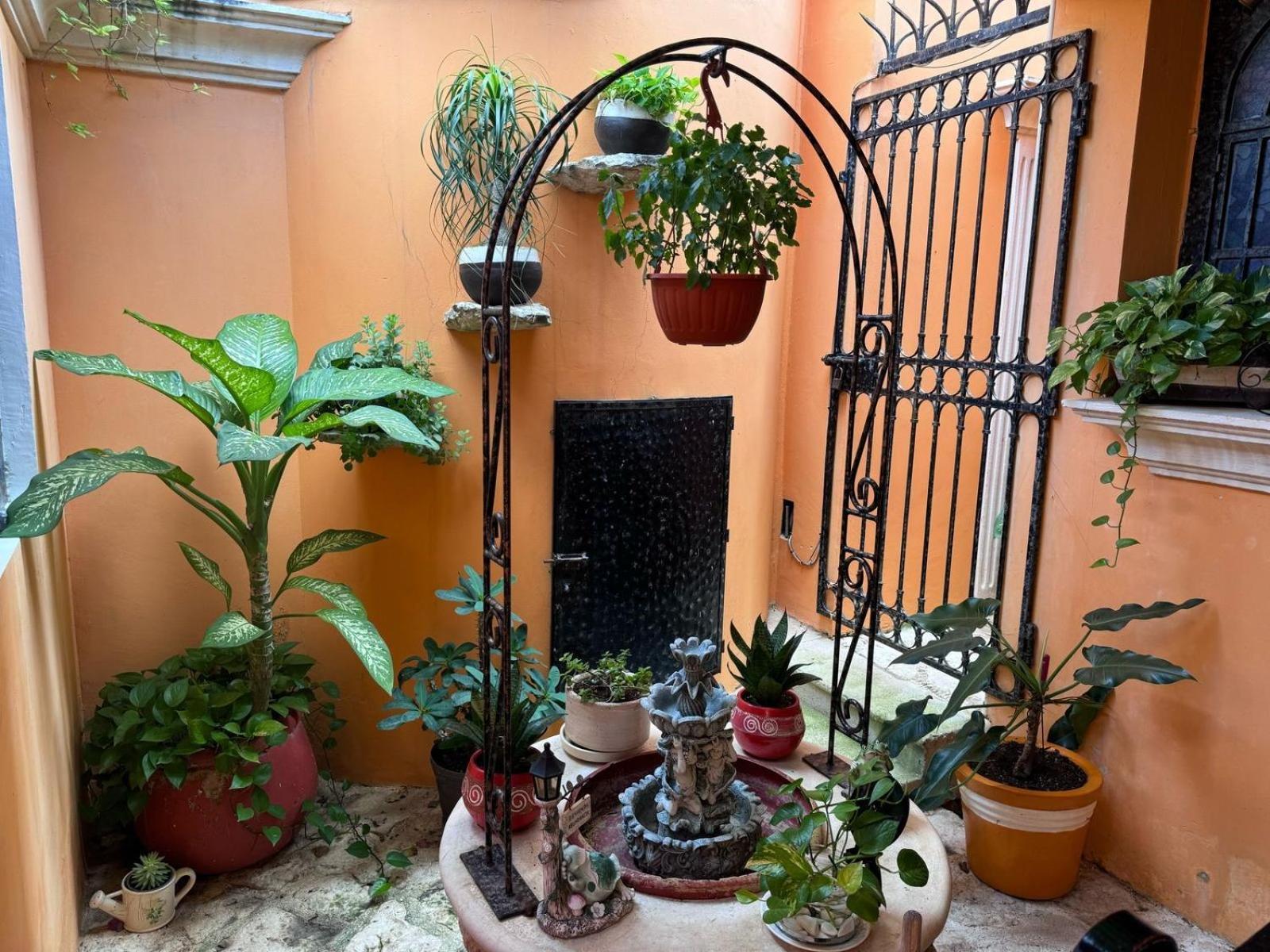 Hotel Casa Mallorca كانكون المظهر الخارجي الصورة